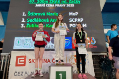 250405pr10